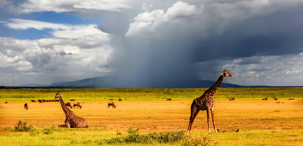 ALESSANDRA E DANIELE